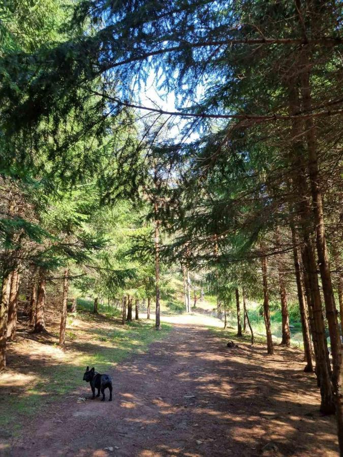 Apartman Nana Divčibare Exteriér fotografie